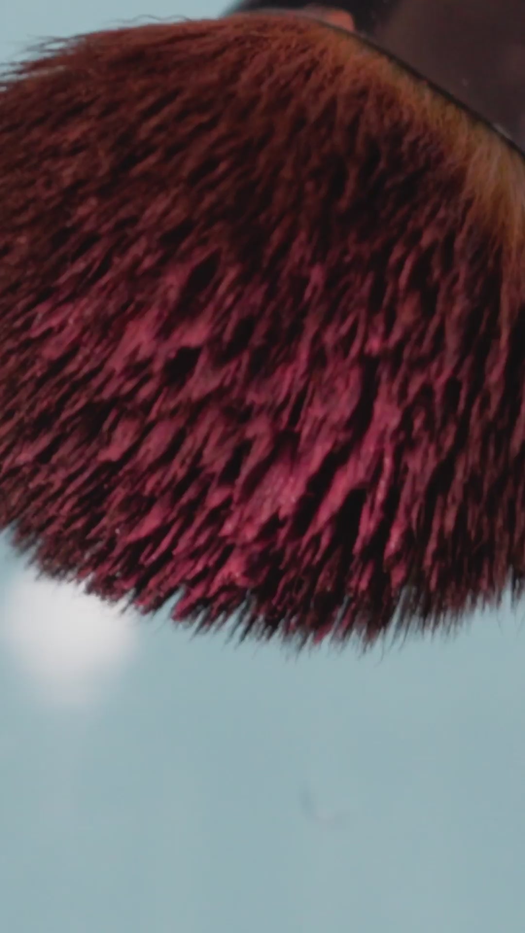 The Original Lush Brush Kit